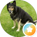 Profilbild von Franz