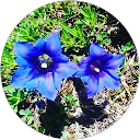 Foto von Jennifer Itzinger