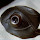 arch.pao...@libero.it's profile photo