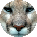 Avatar de sharon.v