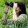 Transremaxculver's profile photo