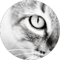 Avatar de Danièle.o