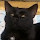 Dédé260's profile photo