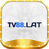 tv88beauty