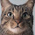 Matt Yang's profile photo