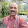 Sureshkumar Kk's profile photo