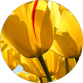 Smith and Wardle Financial Planning - Hitchin