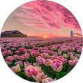Avatar de Annemarie.i