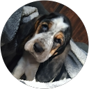 George Rodriguez's profile image