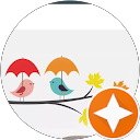 user_profile