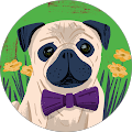 Avatar de hugo.o