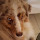 quarkler's profile photo