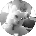 Avatar de Sandrine.a