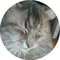 Avatar de pepette.0