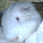 jmzl666's profile photo