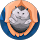 ウォールマリア profile picture