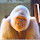 Tschef's profile photo