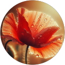Gayle Giddings's profile image