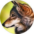 Avatar de Simon.o