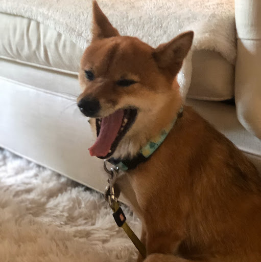 Hanna Shoen Rieseberg