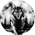 Avatar de Mathieu.v