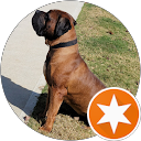 Reviewer Avatar