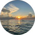The LA|PR Firm - 