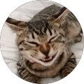 s u
