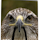ncgu...@gmail.com's profile photo