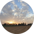 יקותיאל גורא's photo