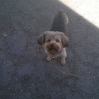 Kullanıcı: andre62000@live.fr