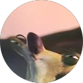 Avatar de TheAussieKid.