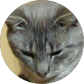 Avatar de Serge.o