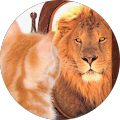 What the Woof Pet Supplies - Sicamous, British Columbia