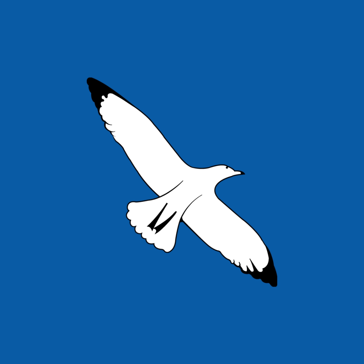 A Cleaner World facility with washing machines in Greensboro