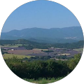 Avatar de C.e