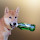 dario...@gmail.com's profile photo