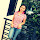 romalynta...@gmail.com's profile photo