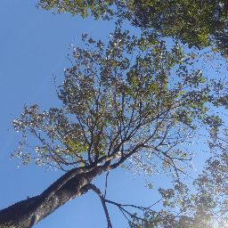 Perfectdrive- MEDO DE DIRIGIR? - CARRO OU MOTO ? VAMOS ATE VOCÊ ! — foto 3