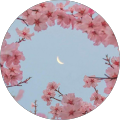 Avatar de lala.e
