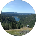 TraumDaune Schlafkomfort - Sülzetal
