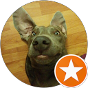 Kristis Rick profile photo