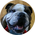 Hanna & Ruud, LLC Criminal Defense Attorneys - Cambridge, Illinois