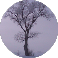 User profile - Karen Stiles.