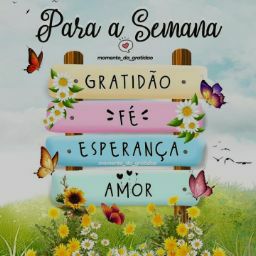Dra. Luzia Covos Figueiredo — foto 3