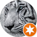Reviewer Avatar