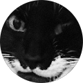 Avatar de G...