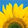 Per Ola Ingvarsson's profile photo