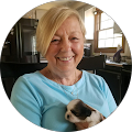 Carmella Hoffman — review for Everdry Waterproofing - Rochester