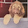 jona...@friedel.earth's profile photo